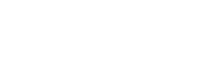 Inmobiliaria Arenas