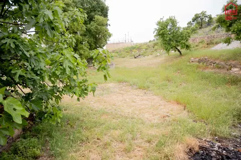 Casa en venta en Íllora — foto 6 de 20
