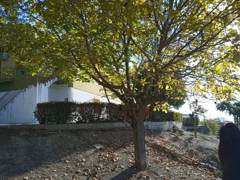 Casa en venta en Íllora — foto 14 de 20