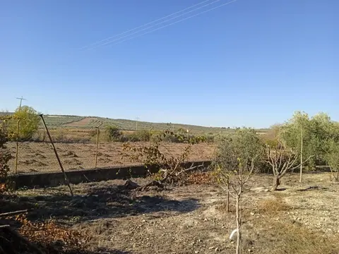 Casa en venta en Íllora — foto 16 de 20