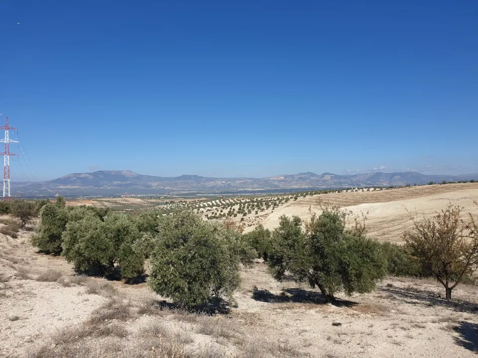 Finca en venta en Chimeneas — foto 1 de 7