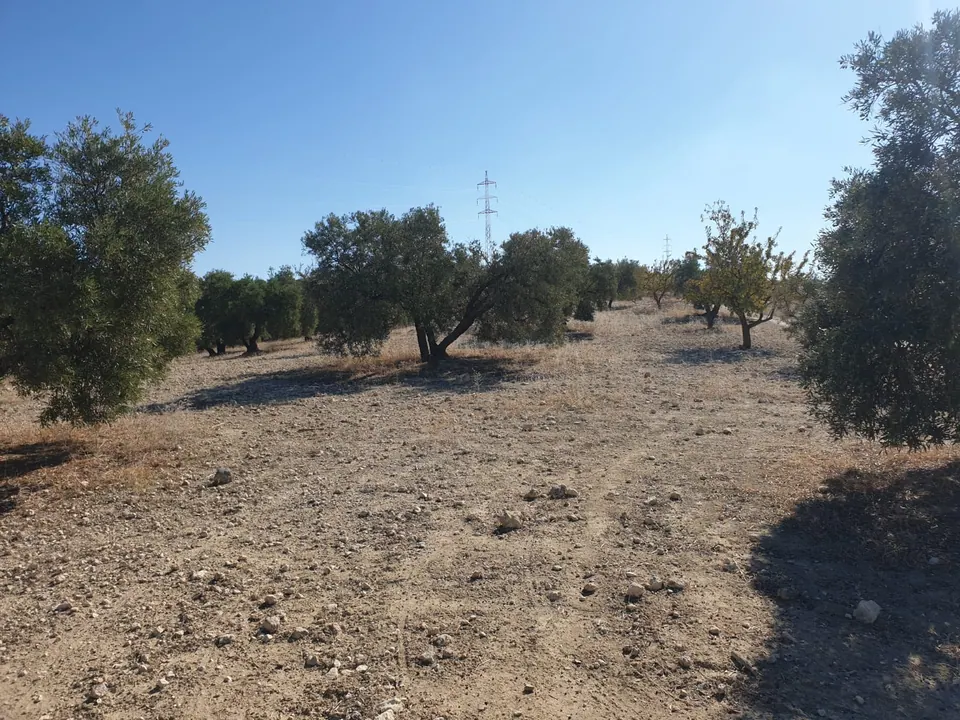 Finca en venta en Chimeneas — foto 3 de 7