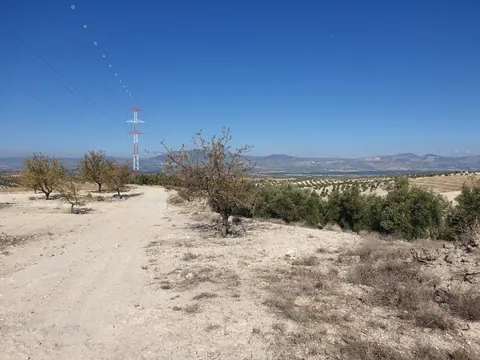 Finca en venta en Chimeneas — foto 4 de 7