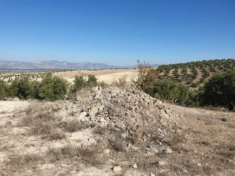 Finca en venta en Chimeneas — foto 6 de 7