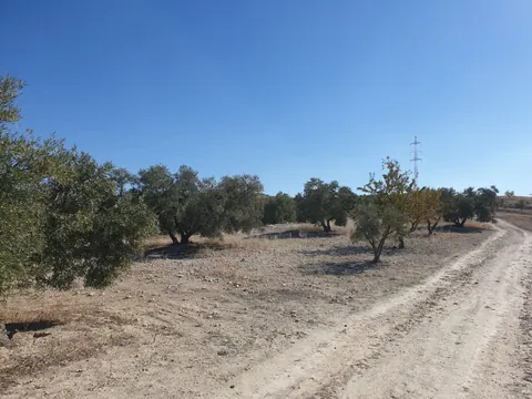 Finca en venta en Chimeneas — foto 7 de 7