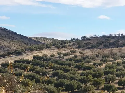 Finca en venta en Chimeneas
