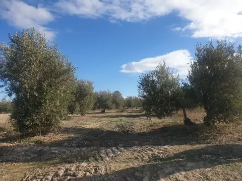 Finca en venta en Chimeneas
