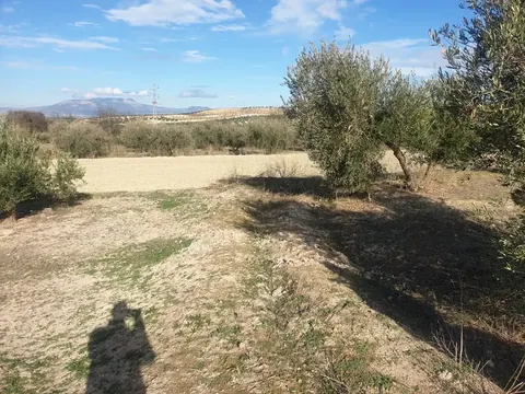 Finca en venta en Chimeneas — foto 2 de 4