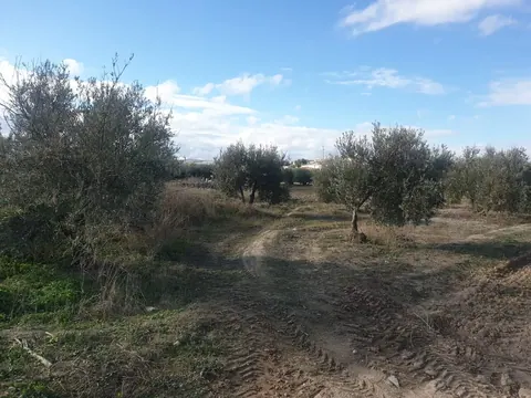Finca en venta en Chimeneas — foto 3 de 4