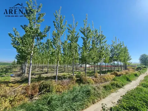 Finca en venta en Cijuela — foto 2 de 4