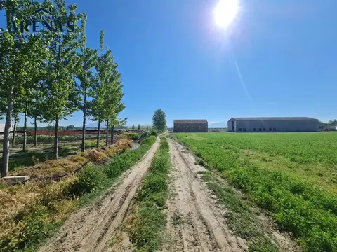 Finca en venta en Cijuela — foto 3 de 4