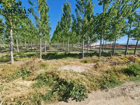 Finca en venta en Cijuela — foto 4 de 4