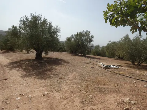 Finca en venta en Cogollos Vega — foto 2 de 5