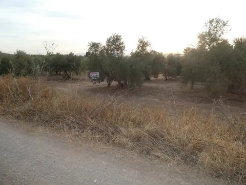 Finca en venta en Cogollos Vega — foto 4 de 4