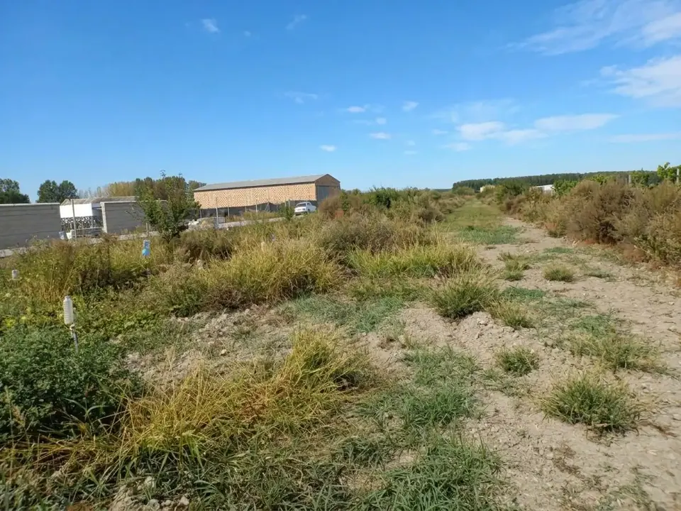 Finca en venta en Fuente Vaqueros — foto 3 de 16