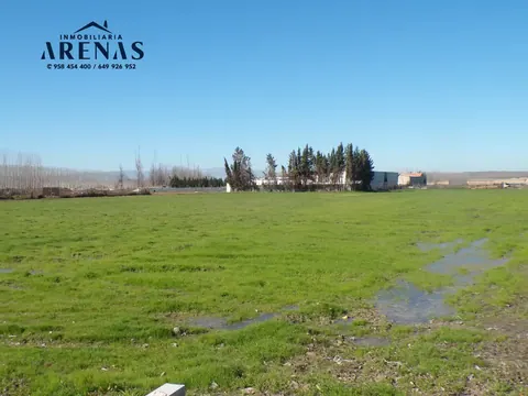Finca en venta en Fuente Vaqueros — foto 11 de 11