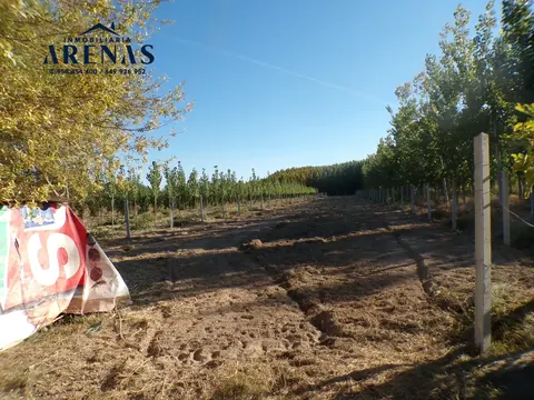 Finca en venta en Fuente Vaqueros