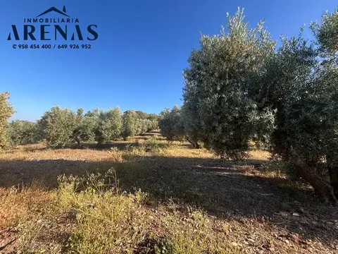 Finca en venta en Íllora