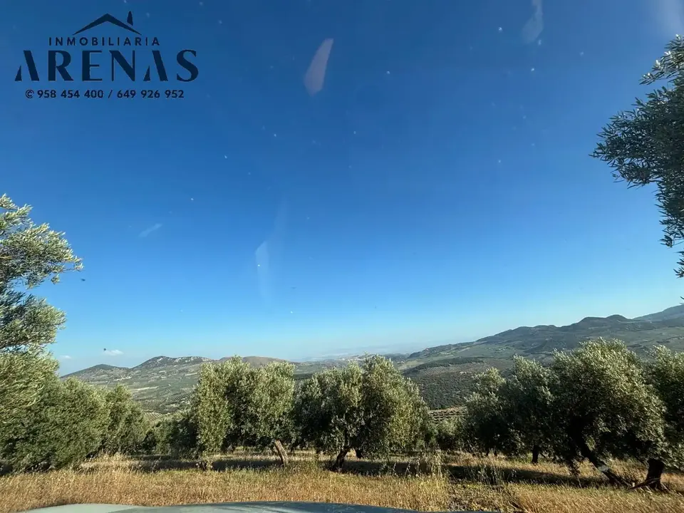 Finca en venta en Íllora — foto 2 de 7