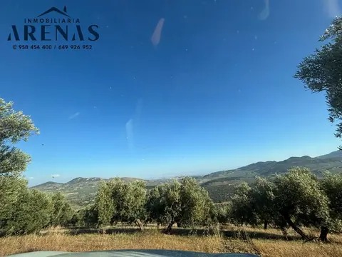 Finca en venta en Íllora — foto 3 de 7