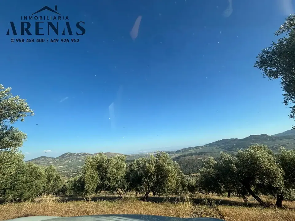 Finca en venta en Íllora — foto 3 de 7