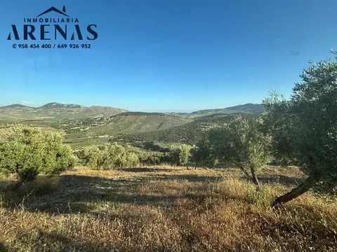 Finca en venta en Íllora — foto 5 de 7