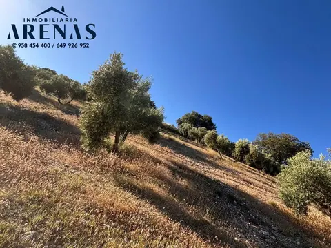 Finca en venta en Íllora — foto 6 de 7