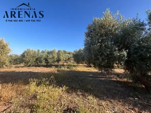 Finca en venta en Íllora — foto 7 de 7