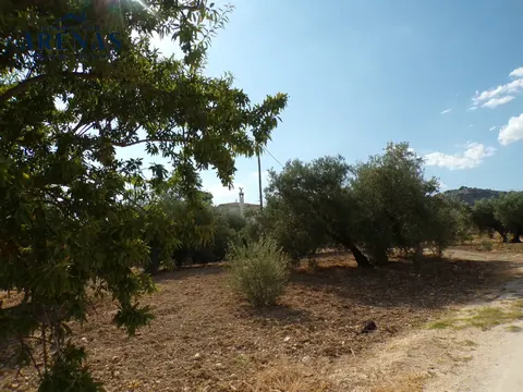 Finca en venta en Loja — foto 3 de 15