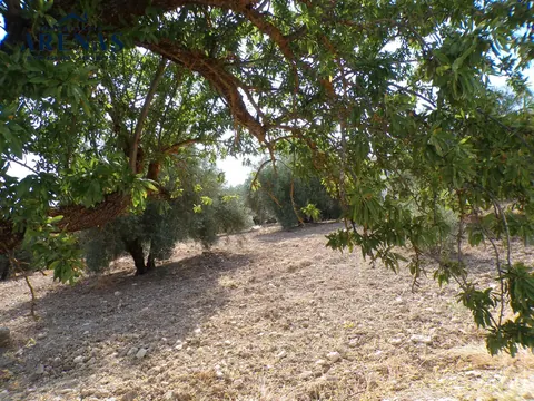Finca en venta en Loja — foto 4 de 15