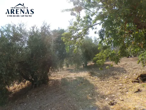Finca en venta en Loja — foto 5 de 15