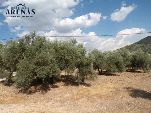 Finca en venta en Loja — foto 6 de 15