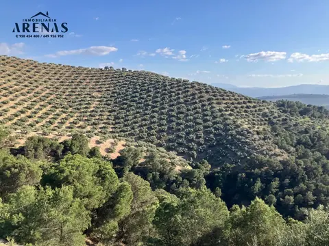 Finca en venta en Montefrío