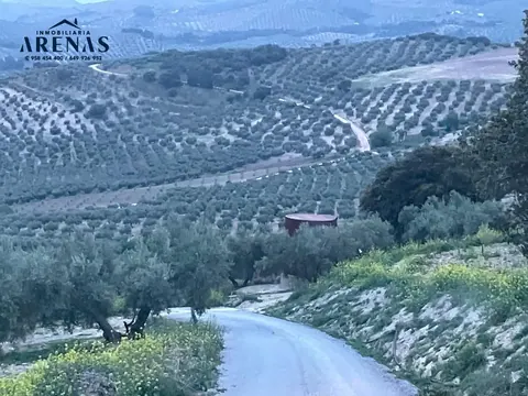 Finca en venta en Montefrío — foto 3 de 8