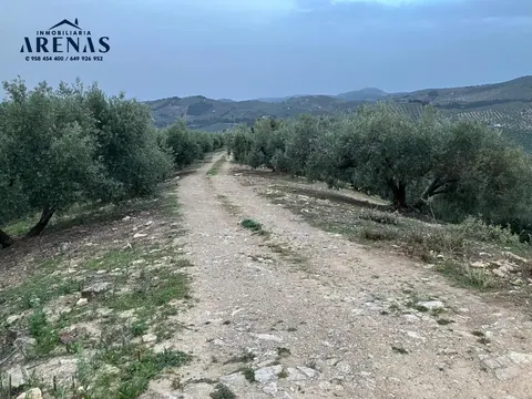 Finca en venta en Montefrío — foto 5 de 8