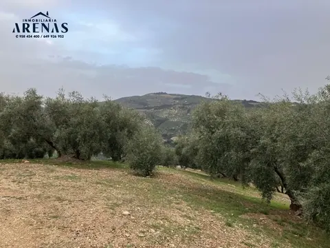 Finca en venta en Montefrío — foto 6 de 8
