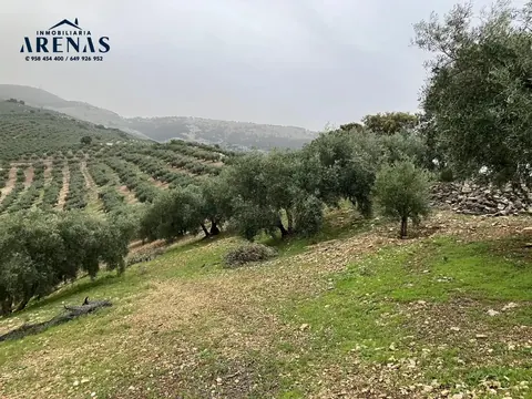 Finca en venta en Montefrío — foto 7 de 8