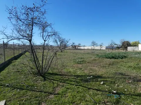 Finca en venta en Moraleda de Zafayona — foto 2 de 5