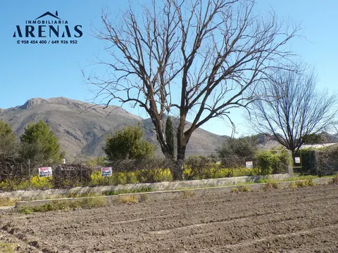 Finca en venta en Pedro Ruiz — foto 3 de 9