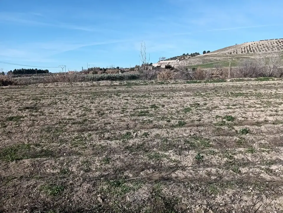 Finca en venta en Pinos Puente — foto 1 de 4