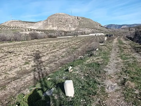 Finca en venta en Pinos Puente — foto 3 de 4