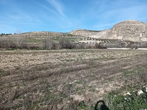 Finca en venta en Pinos Puente