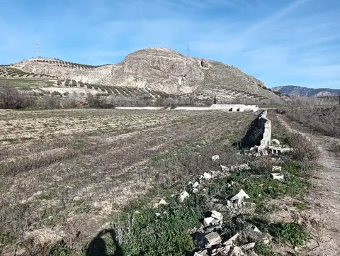 Finca en venta en Pinos Puente — foto 4 de 4