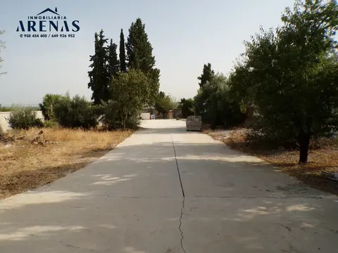 Finca en venta en Pinos Puente — foto 3 de 16