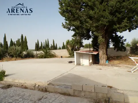 Finca en venta en Pinos Puente — foto 7 de 16