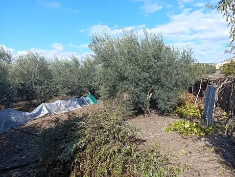 Finca en venta en Pinos Puente — foto 21 de 24