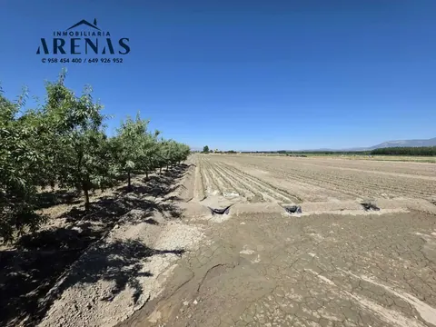 Finca en venta en Romilla — foto 3 de 15