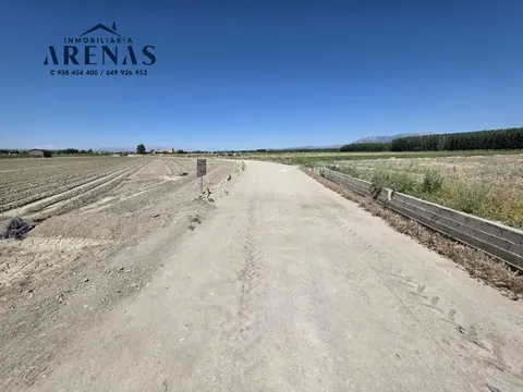 Finca en venta en Romilla — foto 4 de 15