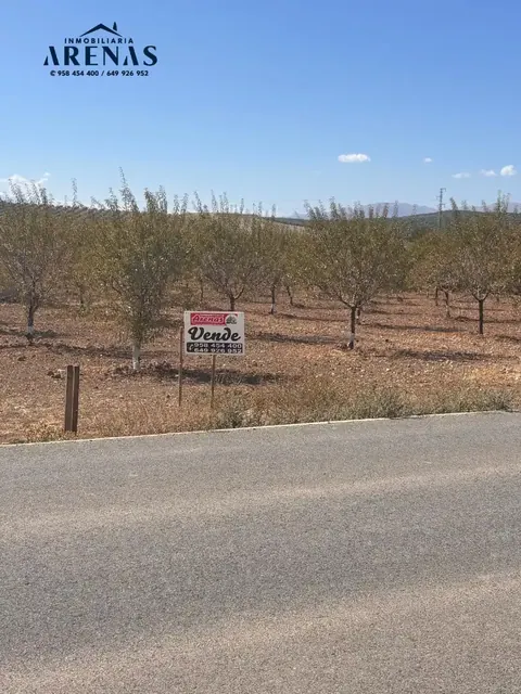 Finca en venta en Tocón
