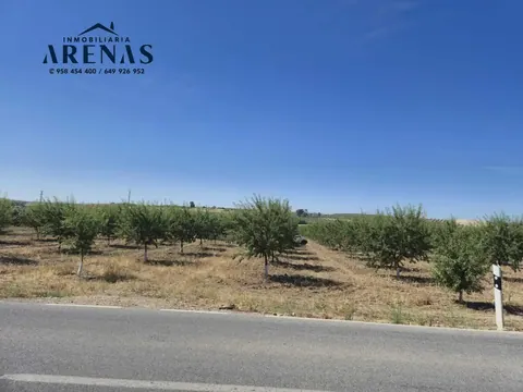 Finca en venta en Tocón — foto 3 de 9